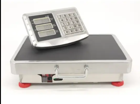 виды электронных весов виды электронных весов